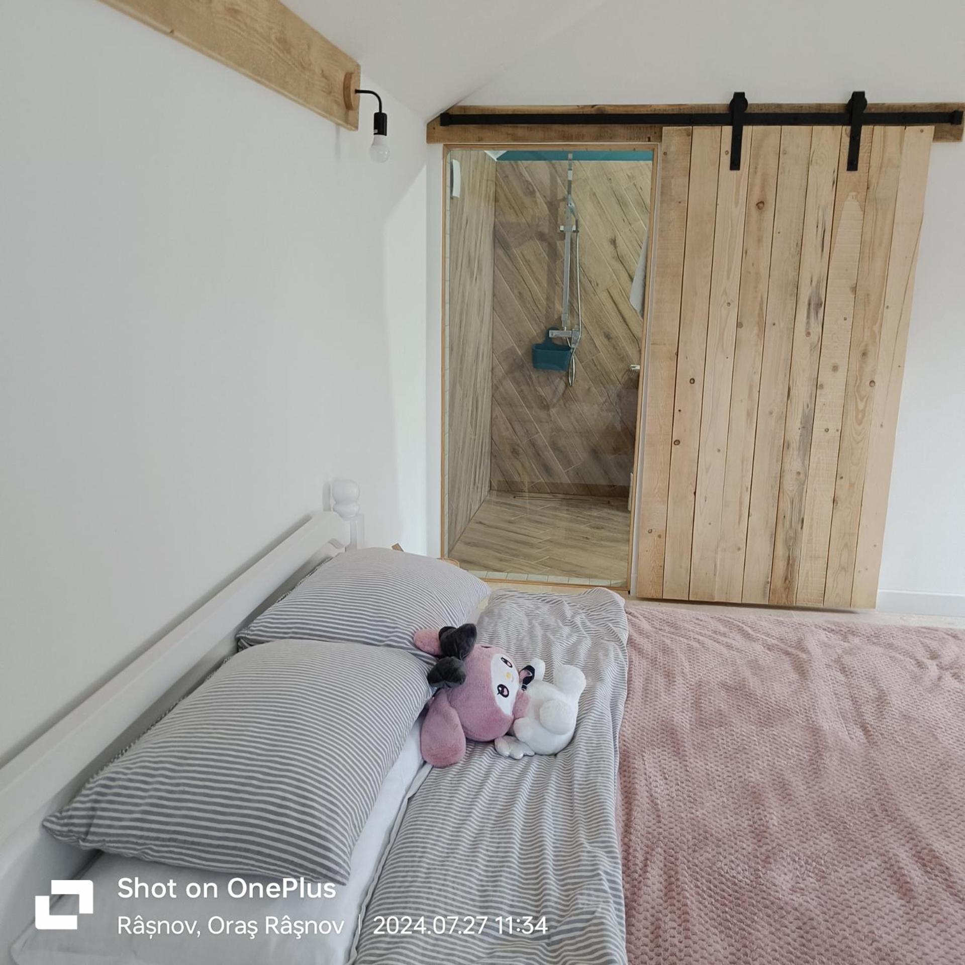 מלון Rîşnov Imperfect House מראה חיצוני תמונה
